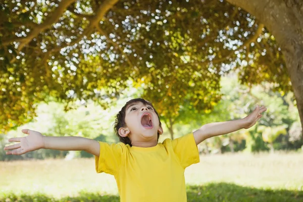 Niño con los brazos extendidos mirando hacia arriba en el parque —  Fotos de Stock