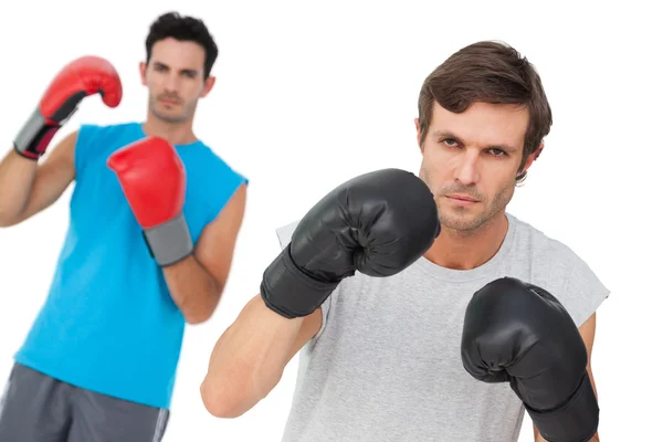 Retrato de dois boxers masculinos praticando — Fotografia de Stock