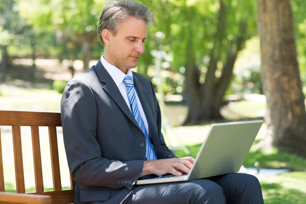 Geconcentreerde zakenman met behulp van laptop — Stockfoto