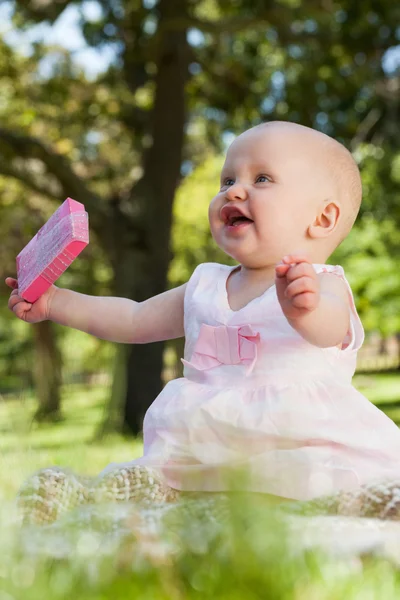 Lindo bebé feliz celebración con una caja en el parque —  Fotos de Stock