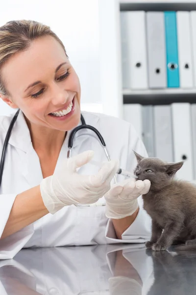 Dierenarts geven kat geneeskunde — Stockfoto