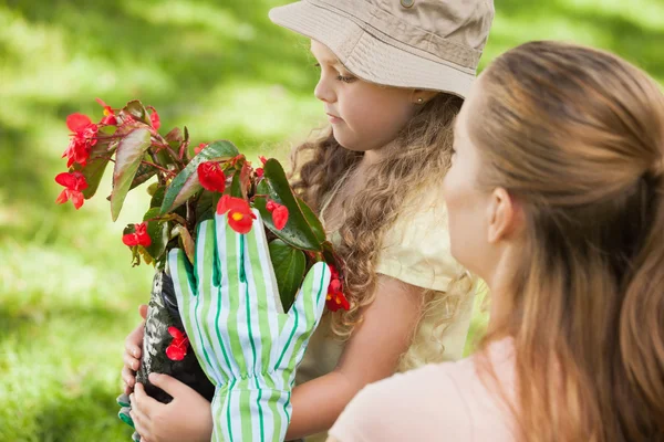 Мати і дочка з квітковим горщиком — стокове фото