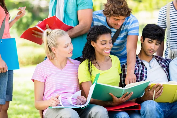 Students studying at college campus