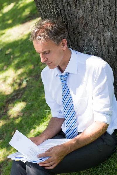 Businessman reviewing documents in park — Stock Photo, Image