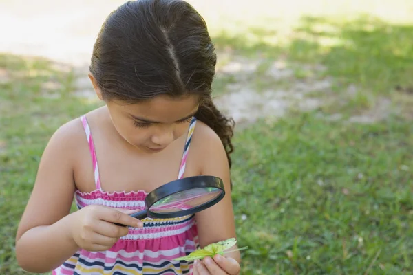 Chica examinando una hoja con lupa en el parque —  Fotos de Stock