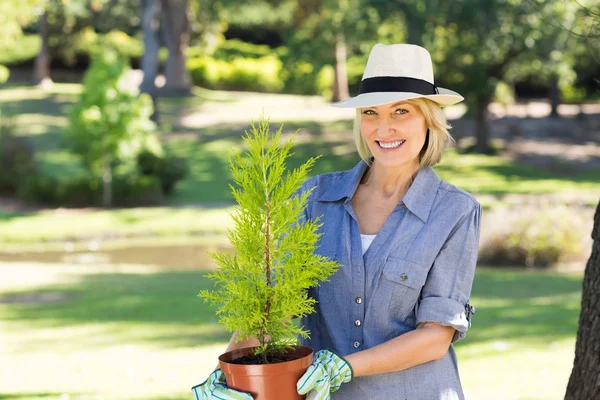 Donna che tiene pianta in vaso in giardino — Foto Stock