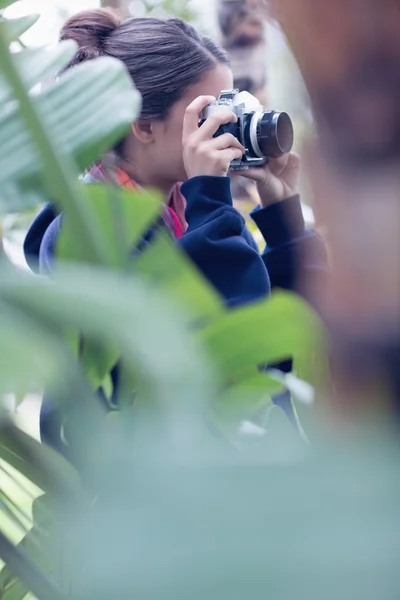 Woman taking a picture in a wooded area — Stock Photo, Image