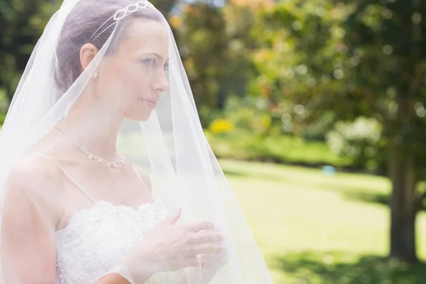 Bruden tittar bort genom slöjan — Stockfoto