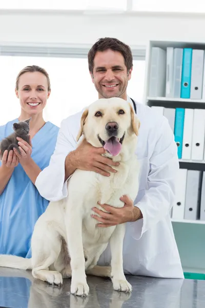 Veterinarians with dog and kitten — Stock Photo, Image