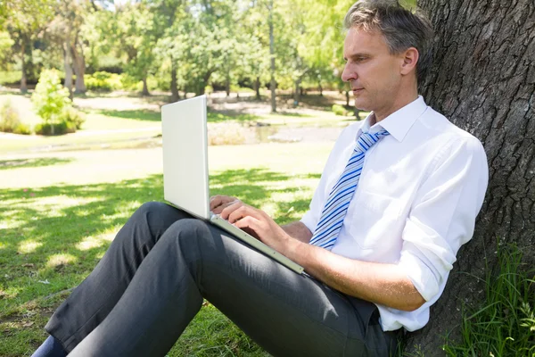 Homem de negócios maduro usando laptop no parque — Fotografia de Stock