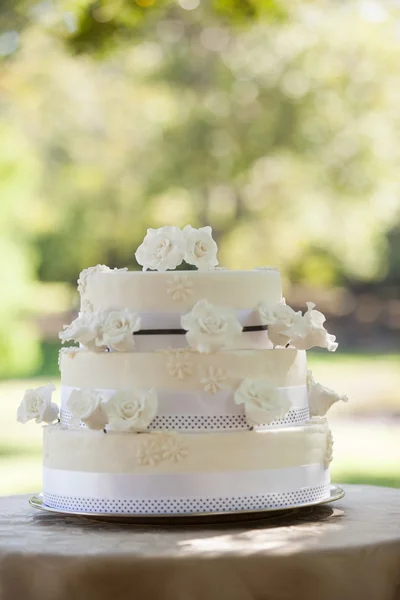Wedding cake on table at park — Stock Photo, Image