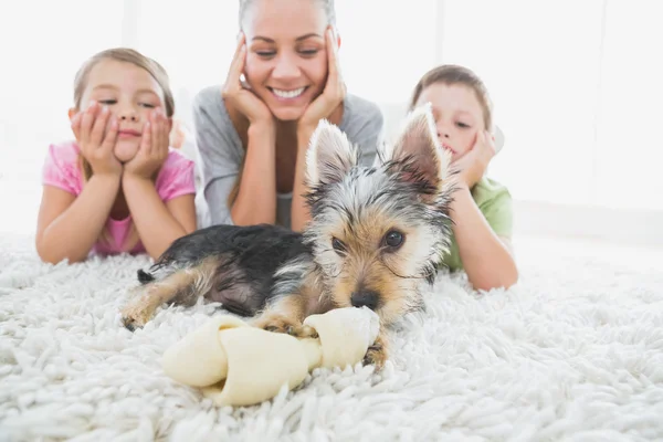 Siblings lying on rug looking at their yorkshire terrier with mo — Stock Photo, Image