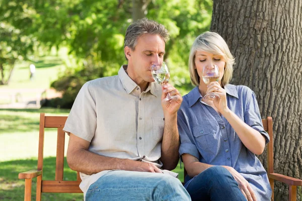 Paar drinken wijn in park — Stockfoto