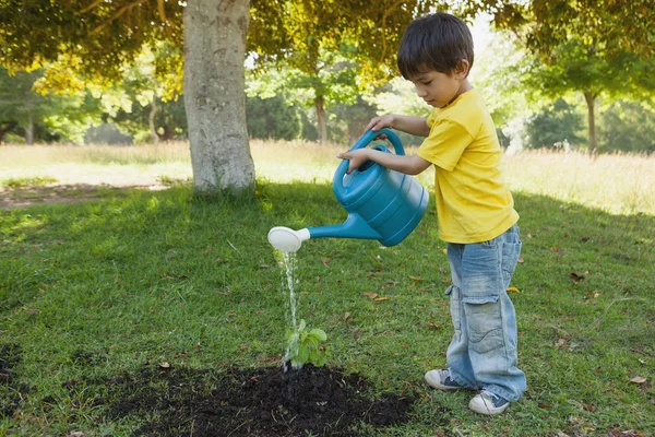 Ung pojke vattning en ung planta i park — Stockfoto