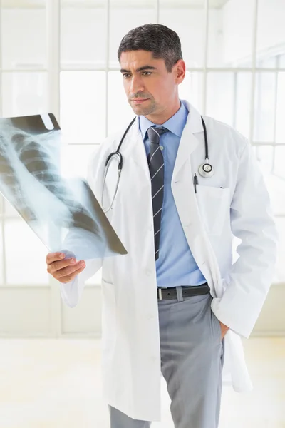 Serious male doctor examining xray — Stock Photo, Image