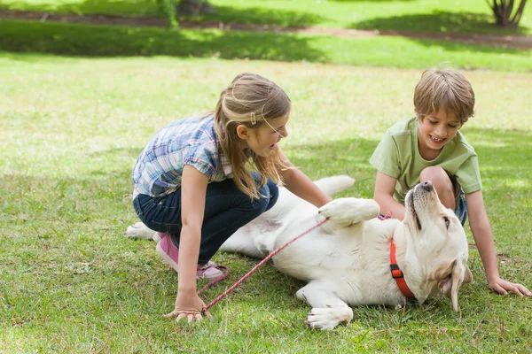 Evcil köpekle oynayan çocuklar — Stok fotoğraf