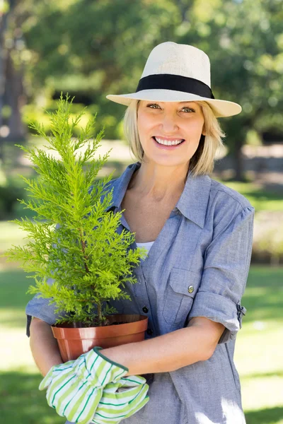 Kvinna med krukväxter för trädgårdsarbete — Stockfoto