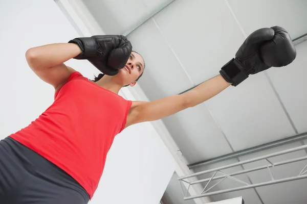 Boxer feminino determinado focado em treinamento no ginásio — Fotografia de Stock