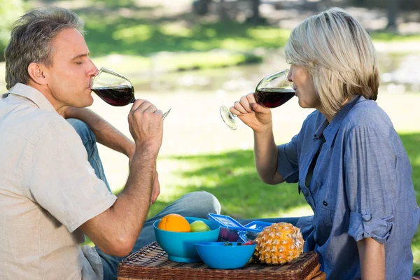 Пара пьющих красное вино в парке — стоковое фото