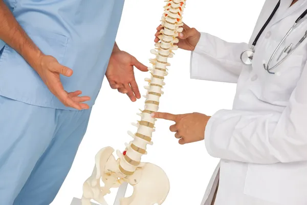 Sección media de dos médicos discutiendo además del modelo de esqueleto — Foto de Stock