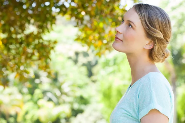 Giovane donna seria che guarda le foglie nel parco — Foto Stock