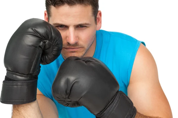 Close-up van een bepaald mannelijke bokser gericht op opleiding Rechtenvrije Stockafbeeldingen