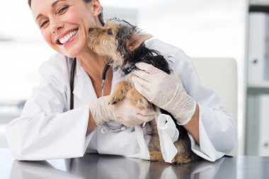 Puppy kissing female vet clipart