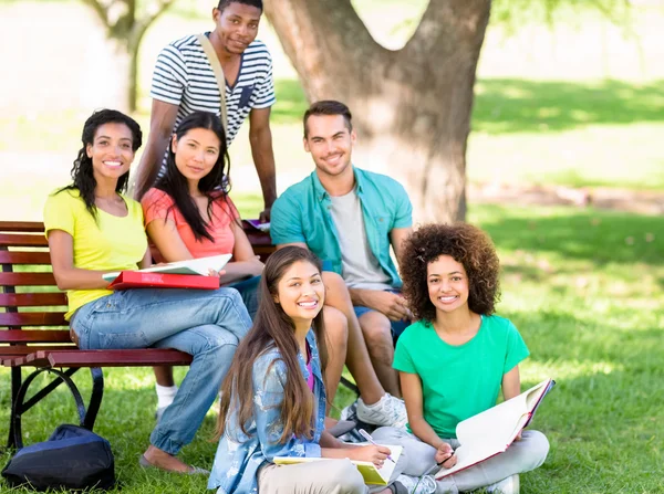 Estudiantes estudiando en el campus — Foto de Stock