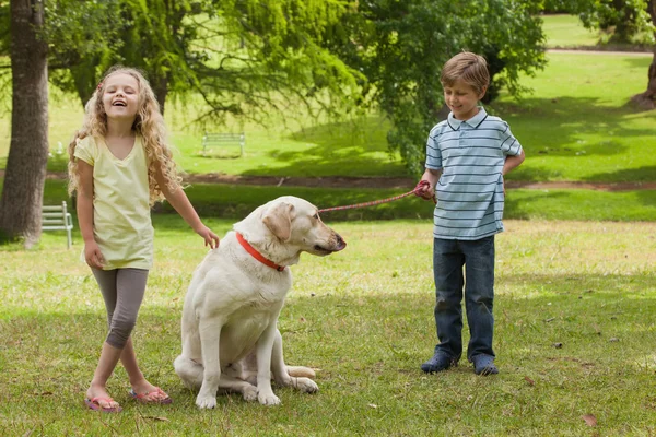 Niños con perro de compañía —  Fotos de Stock