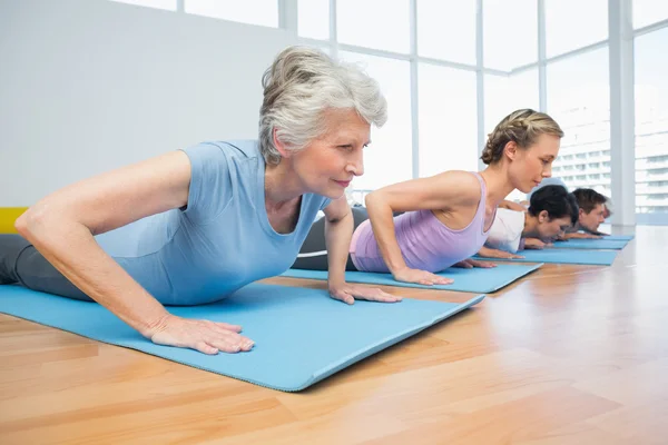 Group doing cobra pose in row at yoga class — Stock Photo, Image