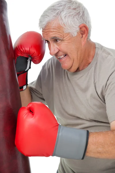 Portrét odhodlaný senior boxer — Stock fotografie