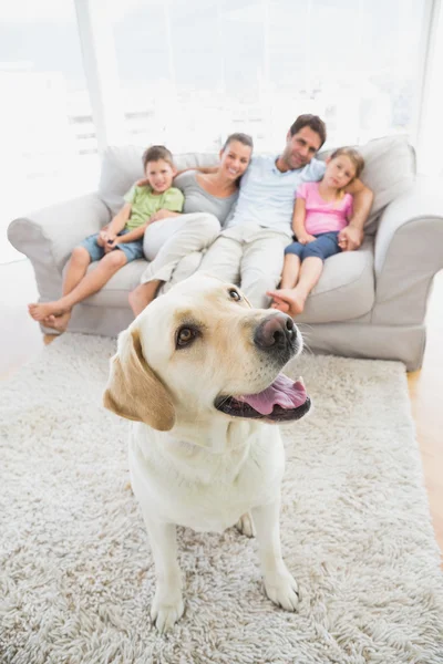 Família feliz sentado no sofá com seu labrador amarelo animal de estimação no tapete — Fotografia de Stock