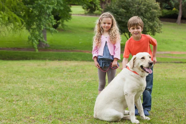 Двое детей с собакой в парке — стоковое фото