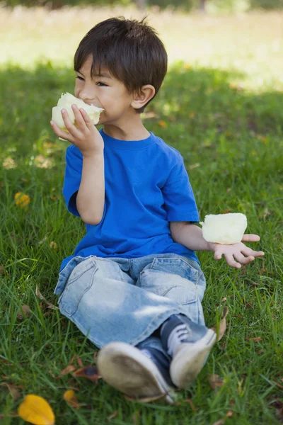 Relajado niño comiendo algodón de azúcar en el parque — Foto de Stock