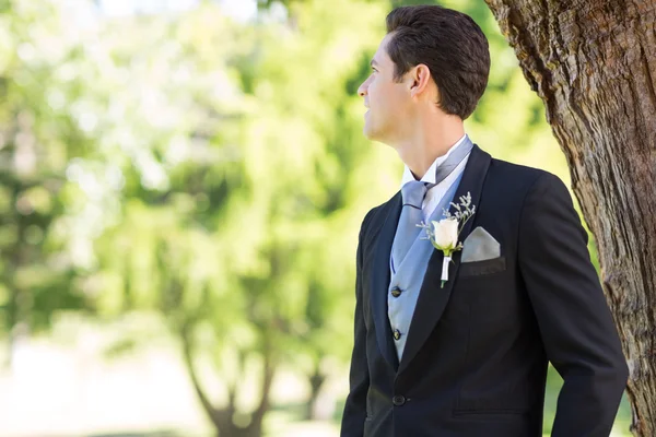 Groom looking away in garden — Stock Photo, Image