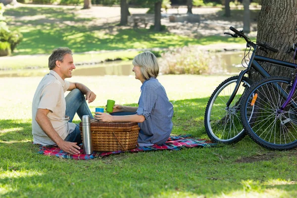 Coppia godendo di bevande in picnic — Foto Stock