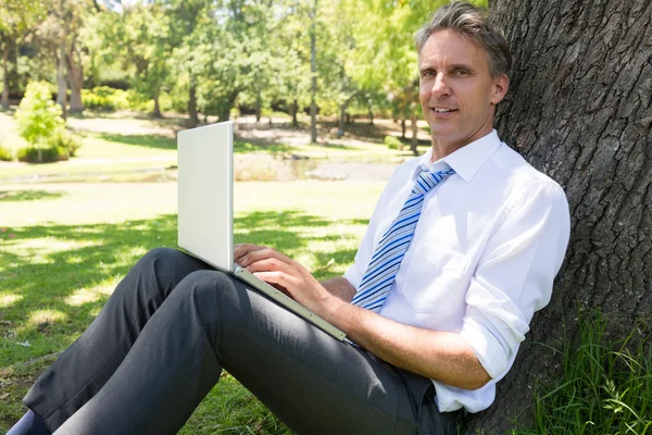 Бизнесмен с ноутбуком опирается на дерево — стоковое фото