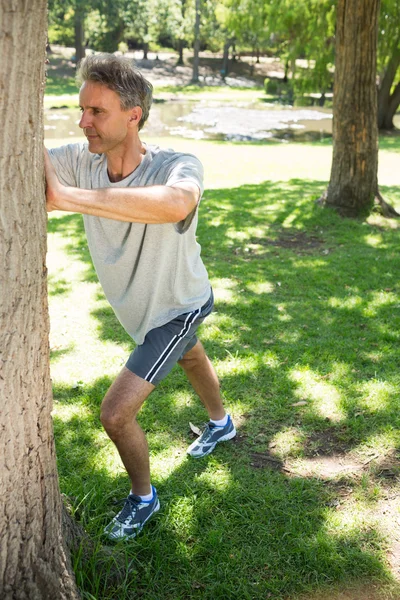Człowiek rozciągania przed drzewo — Zdjęcie stockowe