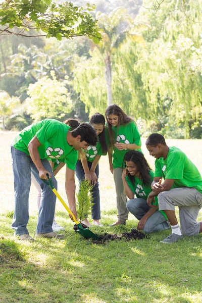 Jardinage écologiste dans le parc — Photo