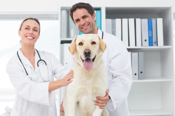 Happy veterinarians with dog — Stock Photo, Image