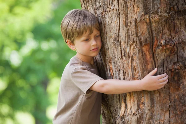 Мальчик обнимает дерево в парке — стоковое фото