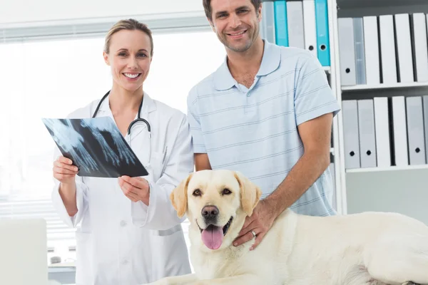 Dono de animais de estimação e veterinário com raio-X do cão — Fotografia de Stock