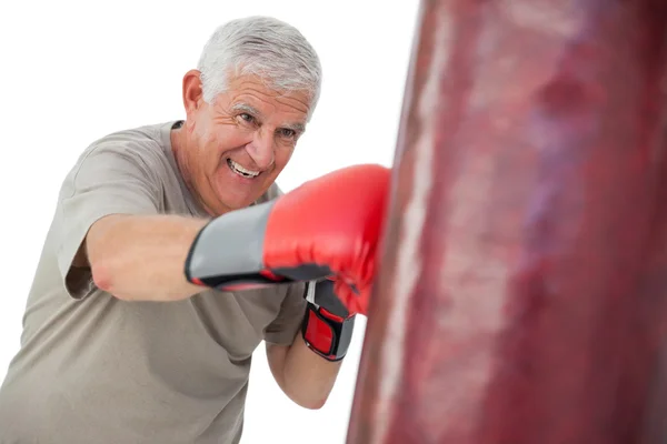 Porträt eines entschlossenen älteren Boxers — Stockfoto