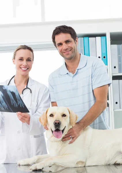Propietario de mascotas y veterinario con rayos X de perro — Foto de Stock