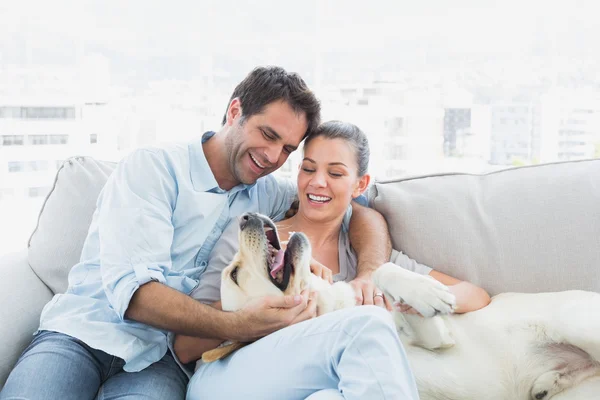 Happy couple petting their yellow labrador on the couch — Stock Photo, Image