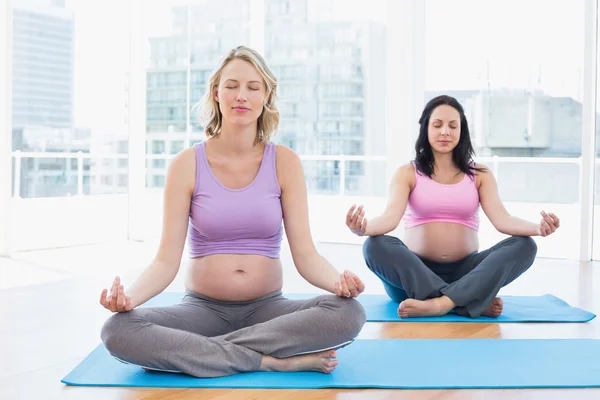 Беременные женщины в классе йоги в позе лотоса — стоковое фото