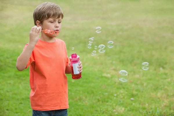 Ragazzo che soffia bolle di sapone — Foto Stock