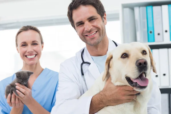 Veterinarians with dog and kitten — Stock Photo, Image