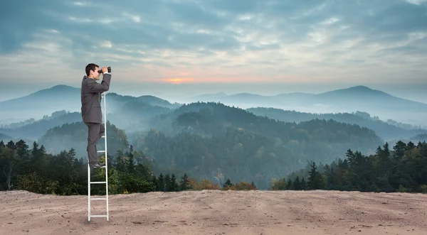 Businessman standing on ladder — Stock Photo, Image