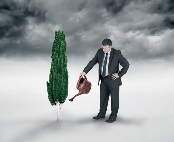 Mature businessman using watering can — Stock Photo, Image